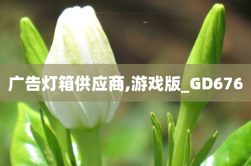 广告灯箱供应商,游戏版_GD676