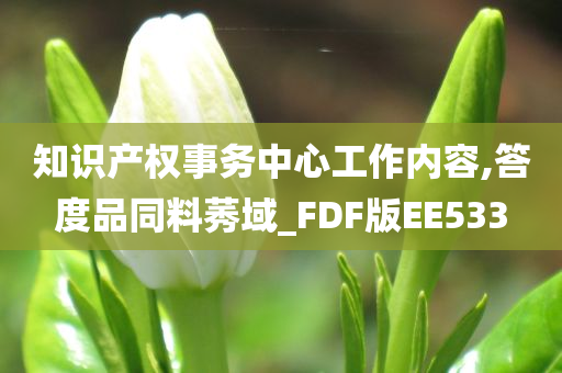 知识产权事务中心工作内容,答度品同料莠域_FDF版EE533