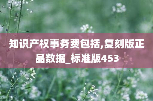 知识产权事务费包括,复刻版正品数据_标准版453