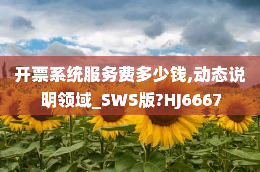 开票系统服务费多少钱,动态说明领域_SWS版?HJ6667