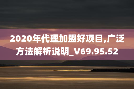 2020年代理加盟好项目,广泛方法解析说明_V69.95.52