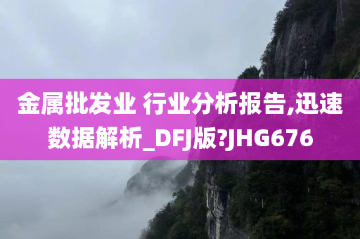 金属批发业 行业分析报告,迅速数据解析_DFJ版?JHG676