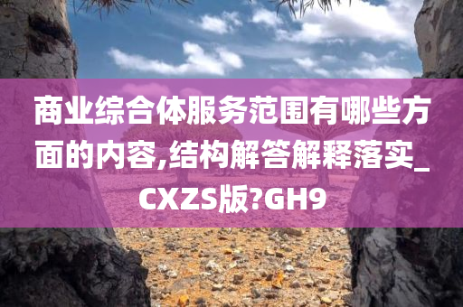 商业综合体服务范围有哪些方面的内容,结构解答解释落实_CXZS版?GH9