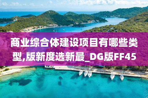 商业综合体建设项目有哪些类型,版新度选新最_DG版FF45