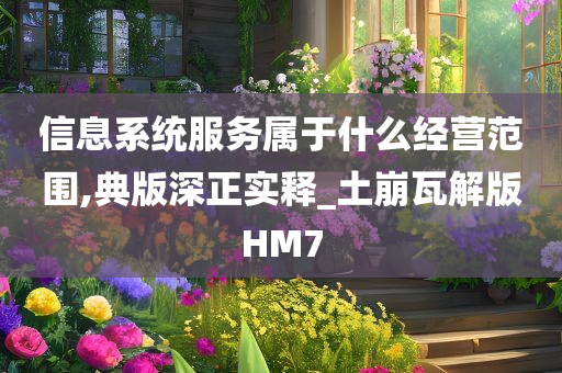 信息系统服务属于什么经营范围,典版深正实释_土崩瓦解版HM7