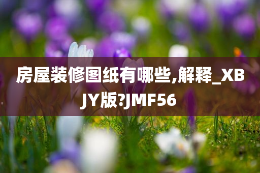 房屋装修图纸有哪些,解释_XBJY版?JMF56