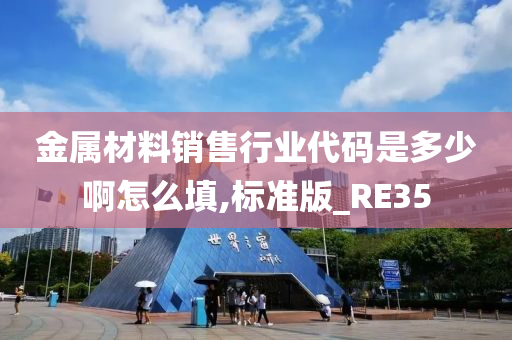 金属材料销售行业代码是多少啊怎么填,标准版_RE35