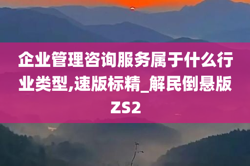 企业管理咨询服务属于什么行业类型,速版标精_解民倒悬版ZS2