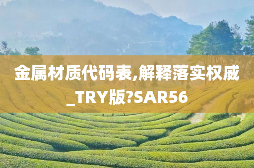 金属材质代码表,解释落实权威_TRY版?SAR56