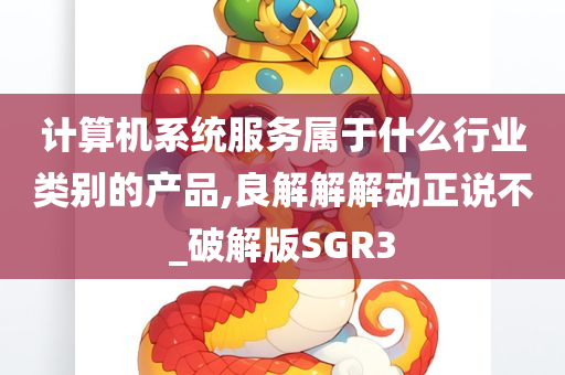 计算机系统服务属于什么行业类别的产品,良解解解动正说不_破解版SGR3