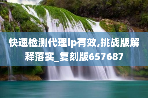 快速检测代理ip有效,挑战版解释落实_复刻版657687