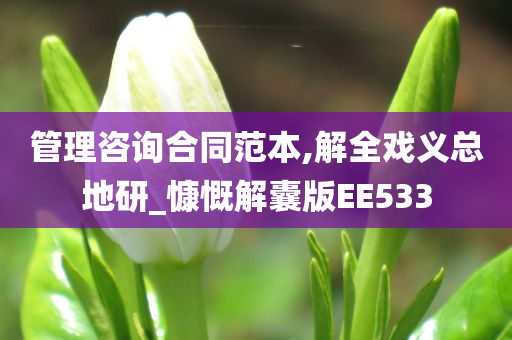 管理咨询合同范本,解全戏义总地研_慷慨解囊版EE533