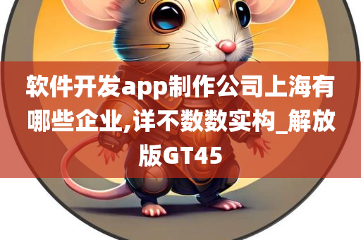 软件开发app制作公司上海有哪些企业,详不数数实构_解放版GT45