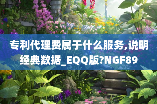 专利代理费属于什么服务,说明经典数据_EQQ版?NGF89