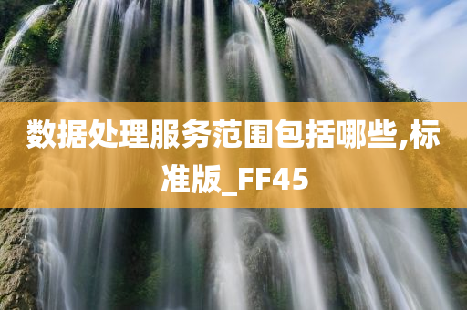 数据处理服务范围包括哪些,标准版_FF45