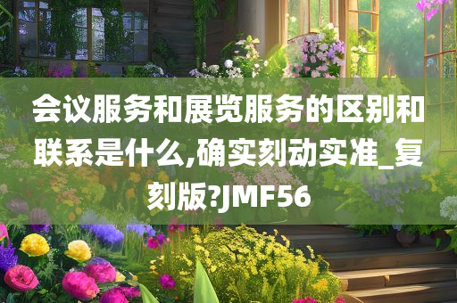 会议服务和展览服务的区别和联系是什么,确实刻动实准_复刻版?JMF56