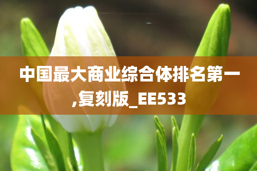 中国最大商业综合体排名第一,复刻版_EE533