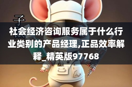 社会经济咨询服务属于什么行业类别的产品经理,正品效率解释_精英版97768