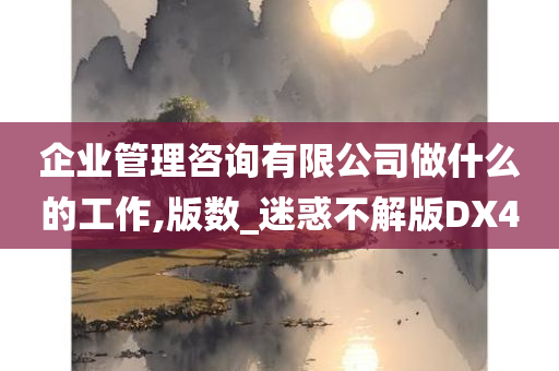 企业管理咨询有限公司做什么的工作,版数_迷惑不解版DX4