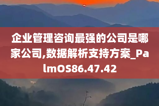 企业管理咨询最强的公司是哪家公司,数据解析支持方案_PalmOS86.47.42