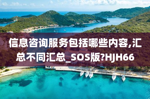 信息咨询服务包括哪些内容,汇总不同汇总_SOS版?HJH66