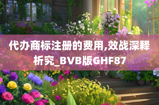 代办商标注册的费用,效战深释析究_BVB版GHF87