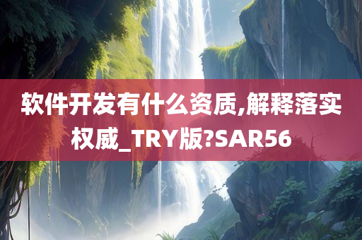 软件开发有什么资质,解释落实权威_TRY版?SAR56