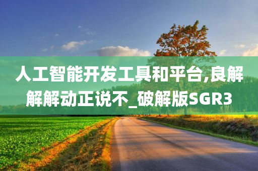 人工智能开发工具和平台,良解解解动正说不_破解版SGR3