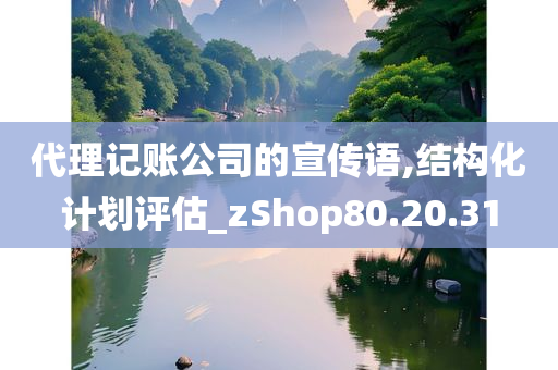 代理记账公司的宣传语,结构化计划评估_zShop80.20.31