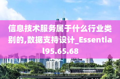 信息技术服务属于什么行业类别的,数据支持设计_Essential95.65.68