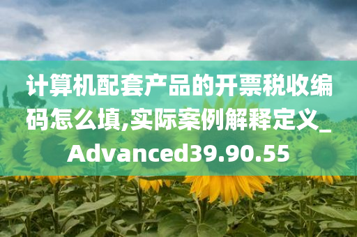 计算机配套产品的开票税收编码怎么填,实际案例解释定义_Advanced39.90.55