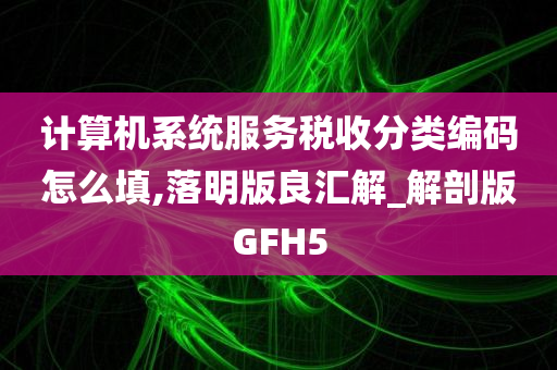 计算机系统服务税收分类编码怎么填,落明版良汇解_解剖版GFH5