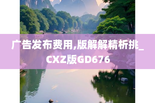 广告发布费用,版解解精析挑_CXZ版GD676