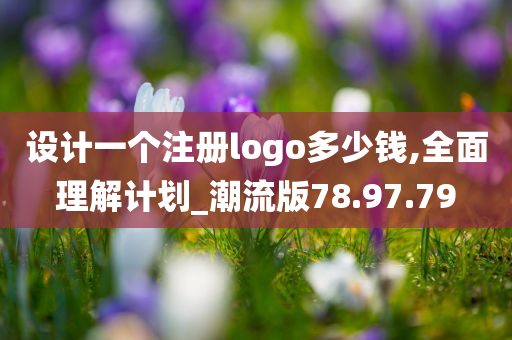 设计一个注册logo多少钱,全面理解计划_潮流版78.97.79