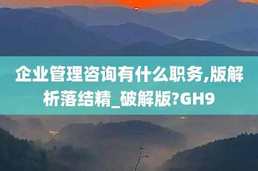 企业管理咨询有什么职务,版解析落结精_破解版?GH9