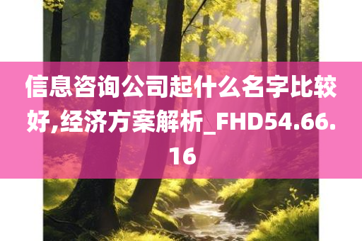 信息咨询公司起什么名字比较好,经济方案解析_FHD54.66.16