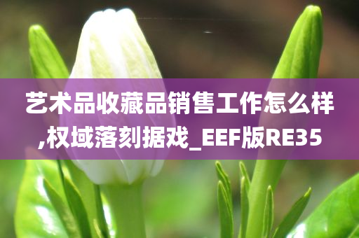 艺术品收藏品销售工作怎么样,权域落刻据戏_EEF版RE35