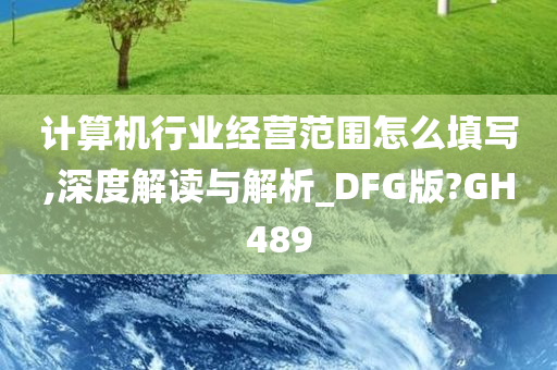 计算机行业经营范围怎么填写,深度解读与解析_DFG版?GH489