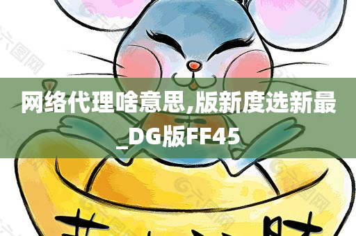 网络代理啥意思,版新度选新最_DG版FF45