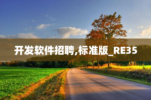 开发软件招聘,标准版_RE35