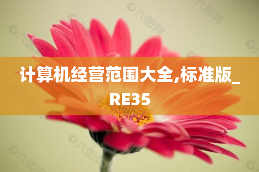 计算机经营范围大全,标准版_RE35