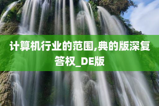 计算机行业的范围,典的版深复答权_DE版