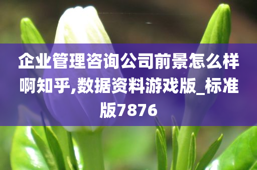 企业管理咨询公司前景怎么样啊知乎,数据资料游戏版_标准版7876