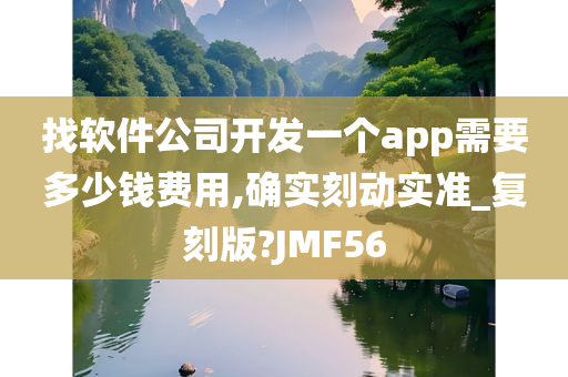 找软件公司开发一个app需要多少钱费用,确实刻动实准_复刻版?JMF56