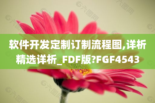 软件开发定制订制流程图,详析精选详析_FDF版?FGF4543