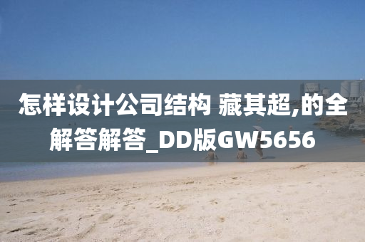 怎样设计公司结构 藏其超,的全解答解答_DD版GW5656