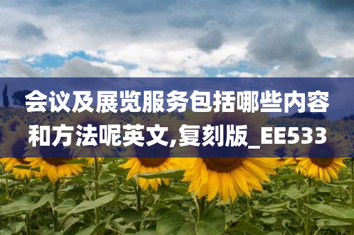 会议及展览服务包括哪些内容和方法呢英文,复刻版_EE533