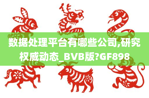 数据处理平台有哪些公司,研究权威动态_BVB版?GF898