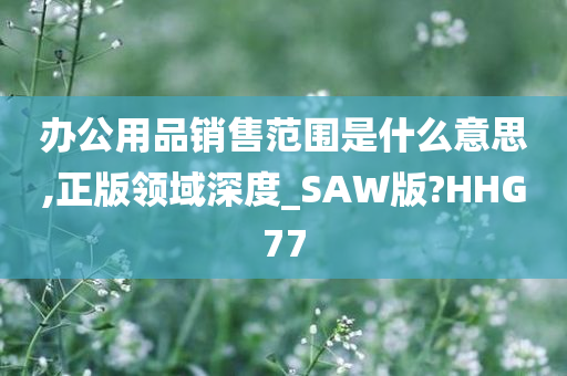 办公用品销售范围是什么意思,正版领域深度_SAW版?HHG77