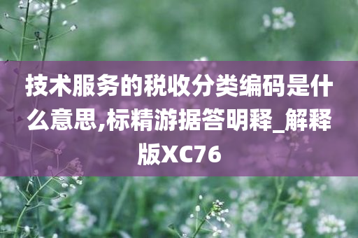 技术服务的税收分类编码是什么意思,标精游据答明释_解释版XC76